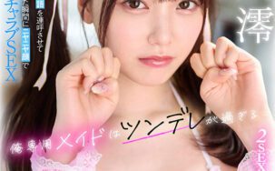 MDVR-336